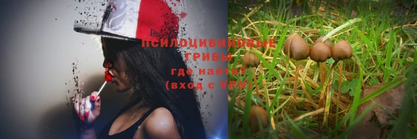 крисы Балабаново