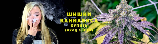 крисы Баксан