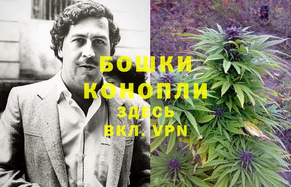 крисы Баксан