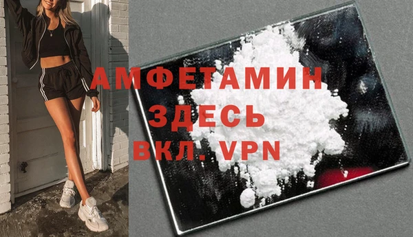 крисы Баксан