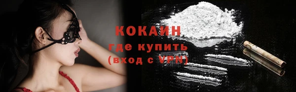 крисы Баксан