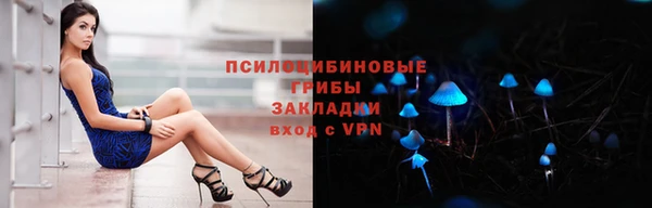 ПСИЛОЦИБИНОВЫЕ ГРИБЫ Беломорск