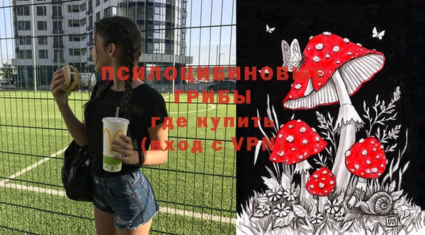 крисы Баксан