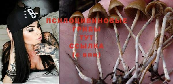 прущий лед Белокуриха