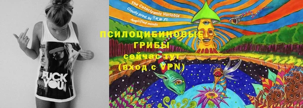 крисы Балабаново