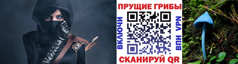 Галлюциногенные грибы GOLDEN TEACHER  Реутов 