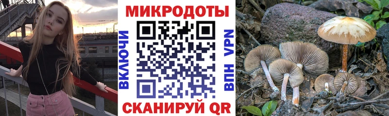 Галлюциногенные грибы мицелий Реутов
